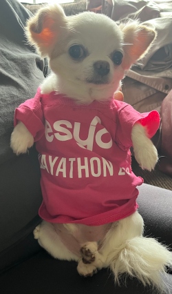 Fundraising Page Image